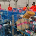 Perlukah Izin Usaha Jika Omzet Toko Shopee Lebih dari 500 Juta?